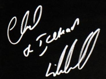 CHUCK-LIDDELL-memorabilia-signed-UFC-memorabilia-Mike-Ramirez-painting-artwork-autograph-portrait-Ultimate-Fighting-Championships-The-Iceman-MMA-signature signing