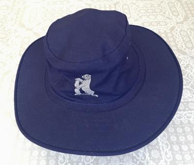 Allan-Donald-signed-Warwickshire-cricket-memorabilia-south-africa-white-lightning-fast-bowler-coach-hat-warks-ccc-logo