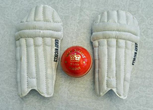 Gray-Nicolls-cricket-bats-memorabilia-mini-batting-pads-red-leather-cricket-ball