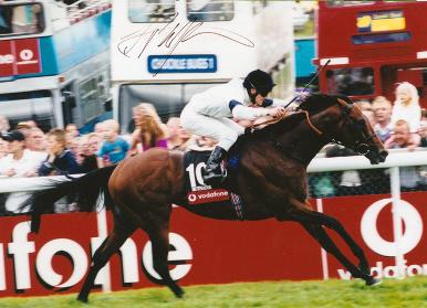 Johnny-Murtagh-autograph-signed-horse-racing-memorabilia-Motivator-Epsom-Derby-jockey-winning